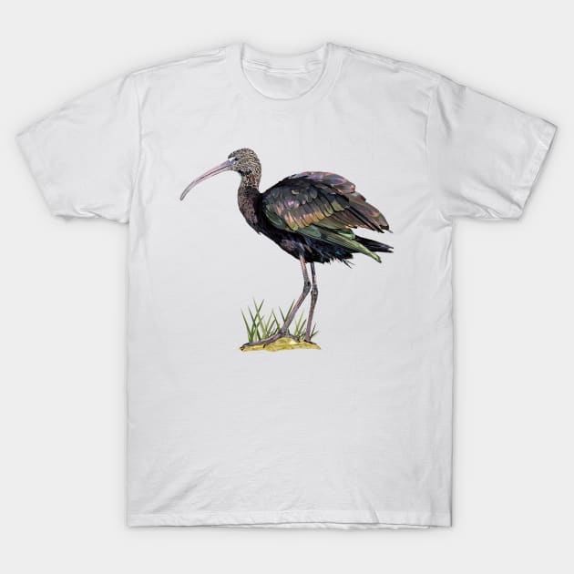 ibis T-Shirt by obscurite